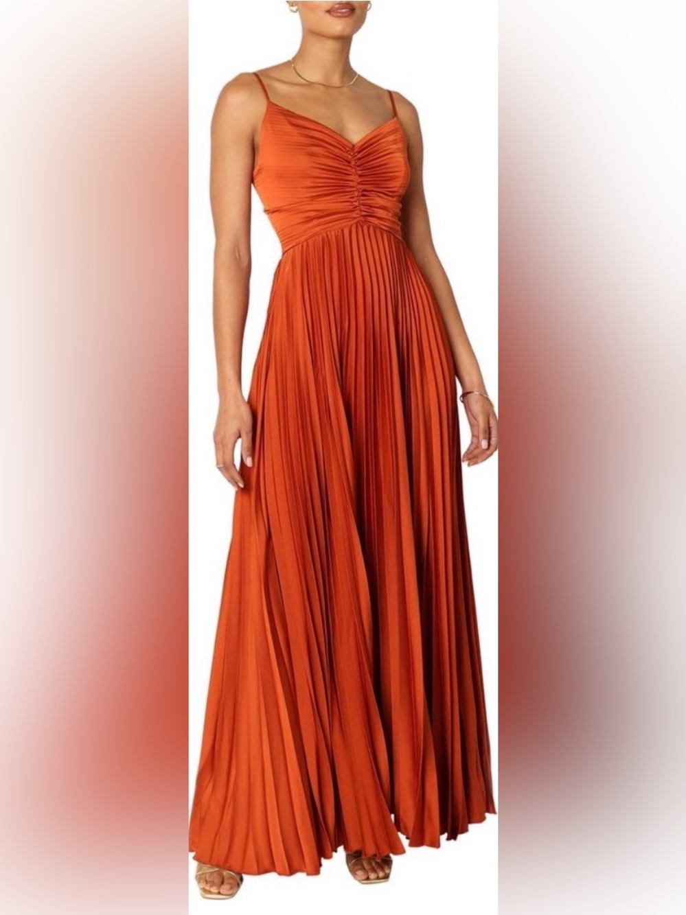 Petal & Pup Pleated Maxi Dress in Rust